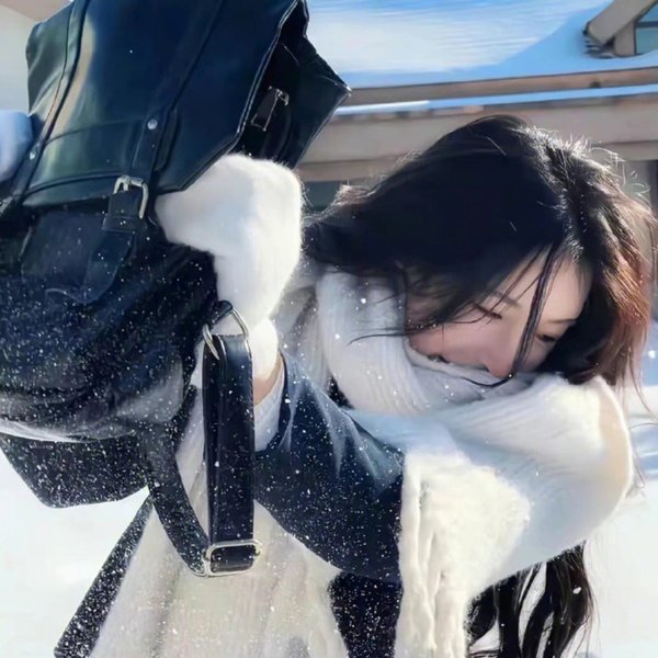 沉香如屑·沉香重华