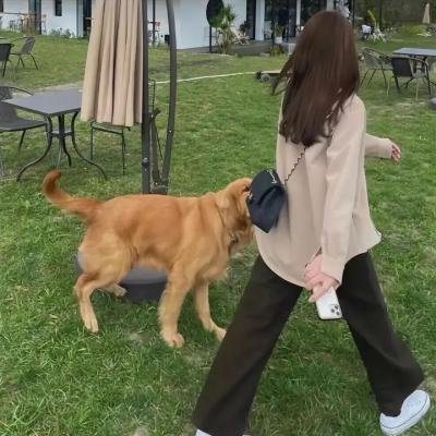 血腥警长